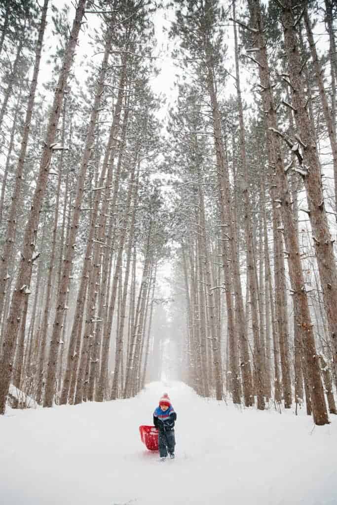 Erin Keog kid in snow with trees photo scaled