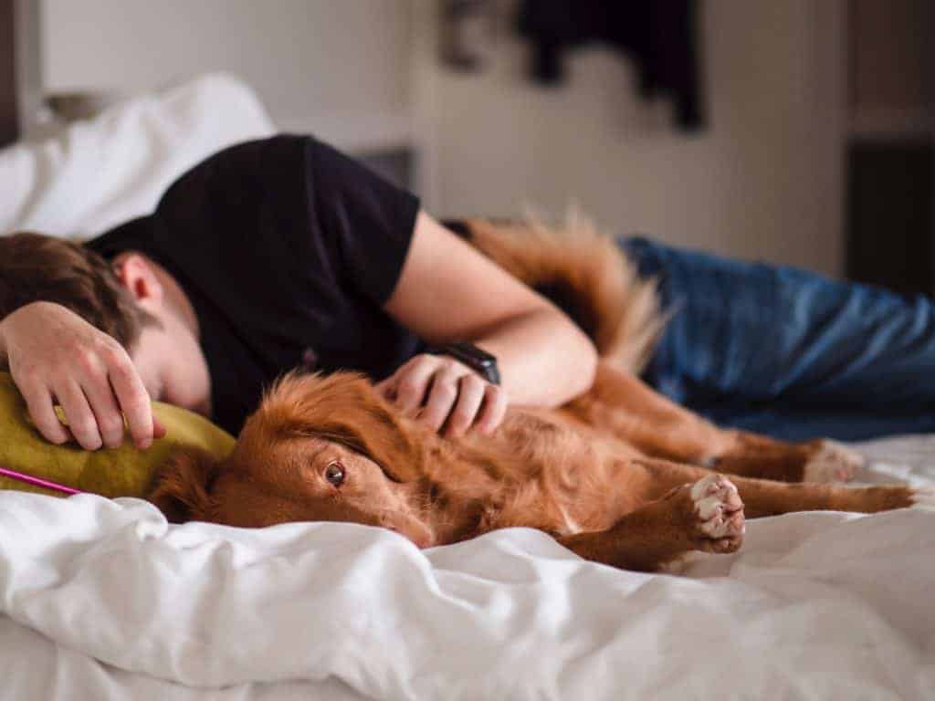 man sleeping in bed with his dog