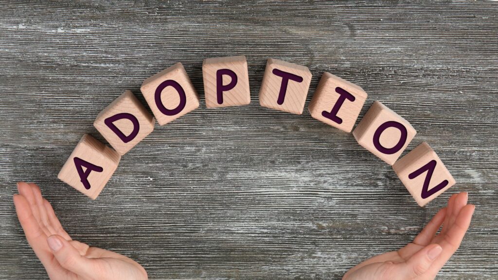 adoption, family